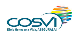 logocosvi